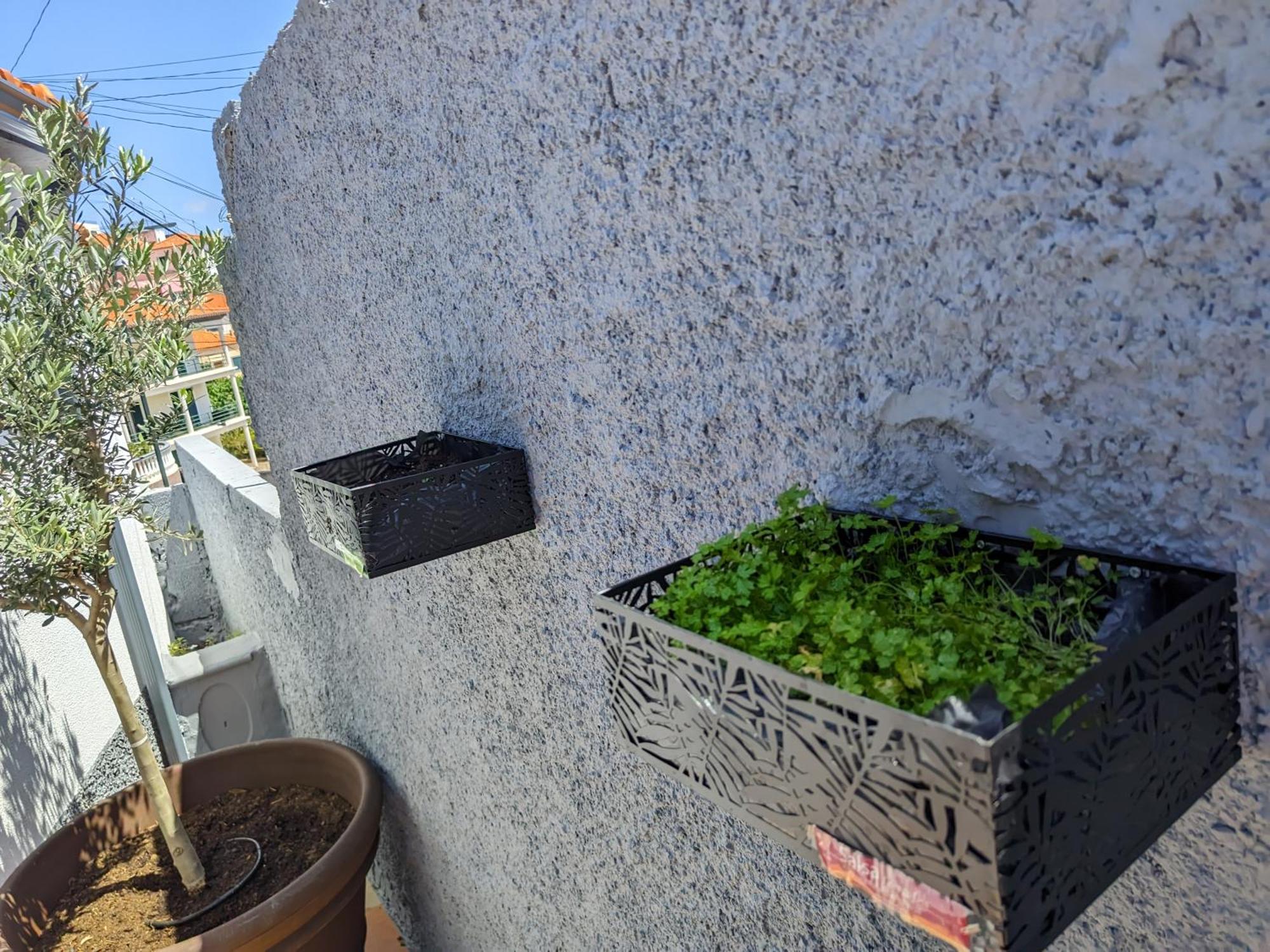 丰沙尔Casa Ascencao, Vista Mar Madeira别墅 外观 照片